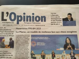 Interview with Zakaria El Hamel, president of Youth for Peace – Morocco on The Opinion.